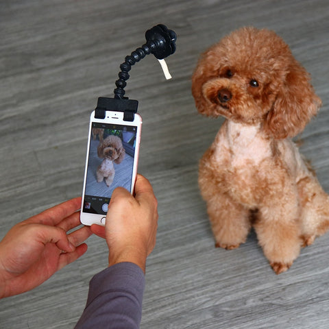 Image of Dog Selfie Stick