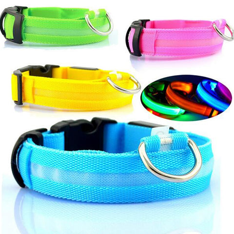 Image of LED Glow In The Dark Dog Collar