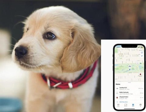 Image of Apple AirTag Dog Collar Tracking Case Holder