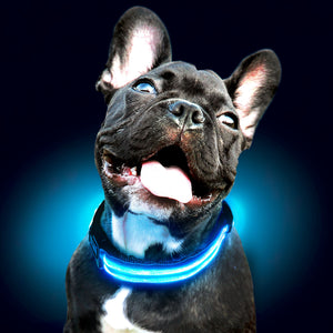 LED Glow In The Dark Dog Collar